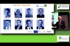 Alternative energy strategies - Sustainable energy systems for CEE countries